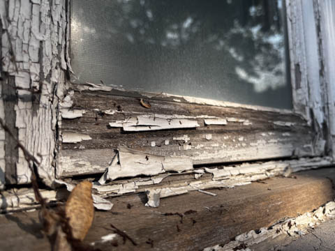 texture 1